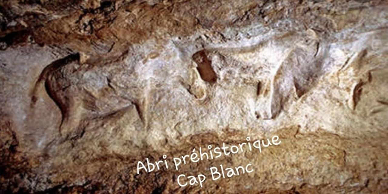 Chateau De L Herm, Lascaux, Sarlat, En Perigord Noir Rouffignac Saint-Cernin Exteriér fotografie